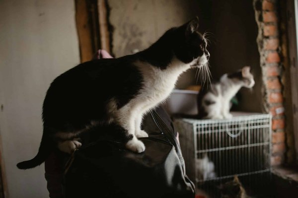 Quelle assurance vie pour les philanthropes souhaitant soutenir des projets éducatifs innovants ?